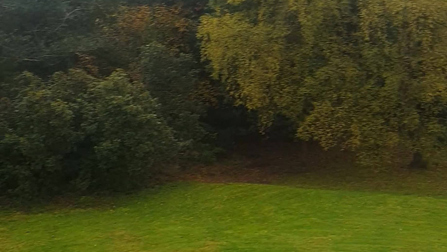 A very active wasps nest treated today
Rats mice fleas wasps bedbugs etc.
Www.pagepestcontrol.com
Pm or call 07759068929